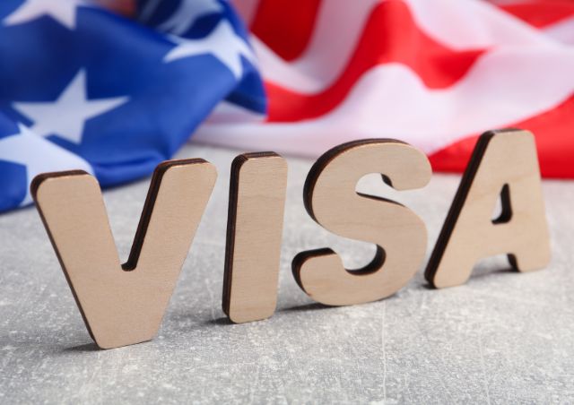 Navigating the Visa Process with Expertise